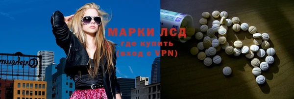 прущие грибы Алексин