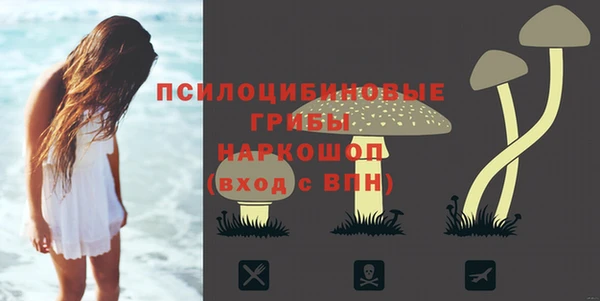 прущие грибы Алексин