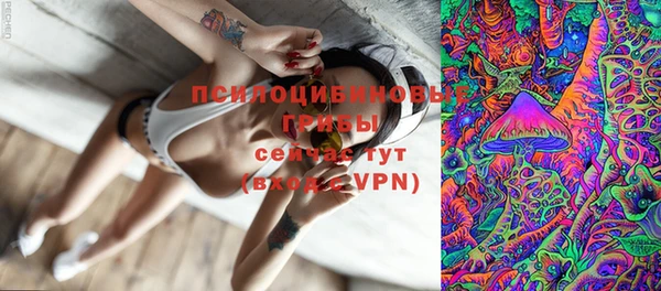 прущие грибы Алексин