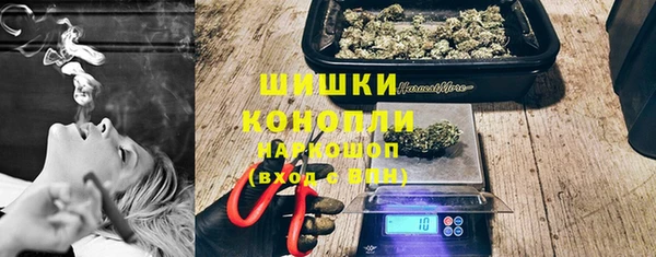 прущие грибы Алексин