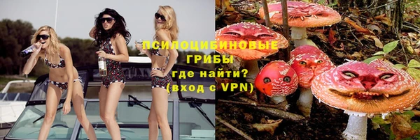 прущие грибы Алексин